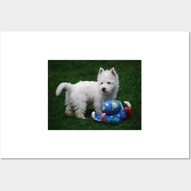 Westie puppy Wall Art by princess-pirate